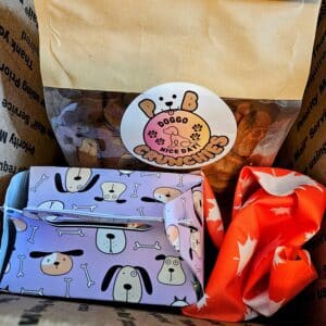 Doggo Nice Day Monthly Wag Box