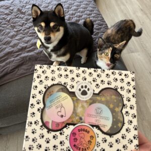 Doggo Nice Day Barkry Box