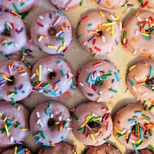 Doggo Donuts Half Dozen