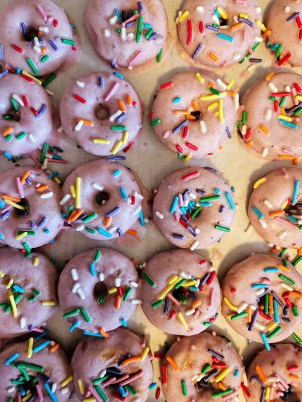 Doggo Donuts Half Dozen