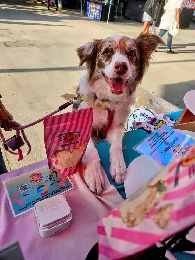 Smiling dog at the Doggo Nice Day farmers market table